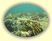 IMG_2007_05_25 16_33_36 * 2272 x 1704 * (575KB)